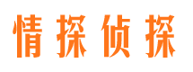 新龙寻人公司